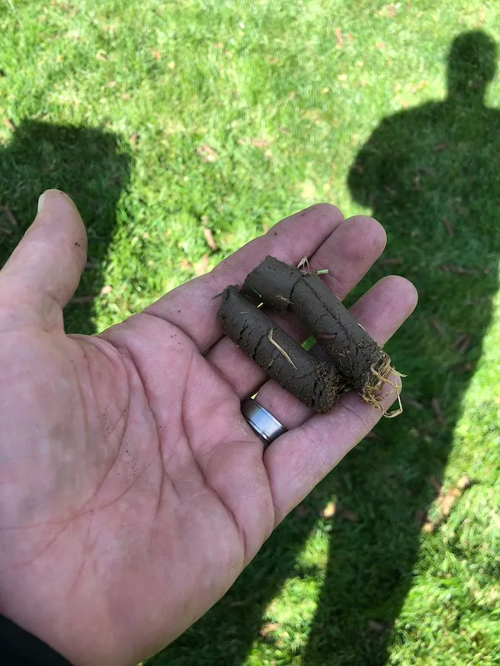 Aeration Plugs in hand