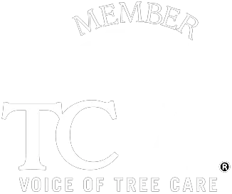 TCIA Logo