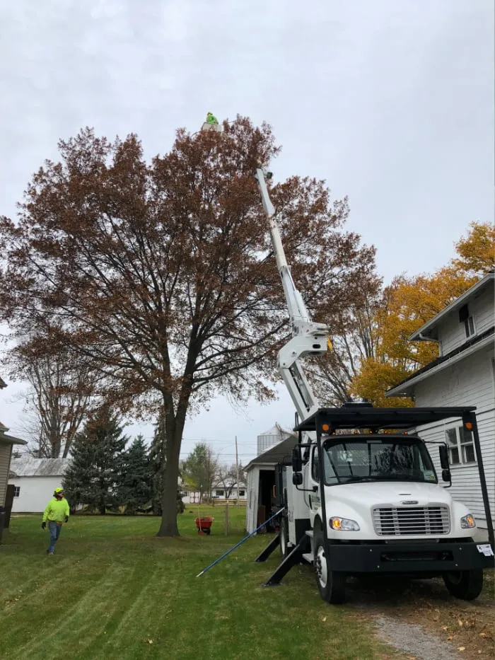 Trimming from a Truck