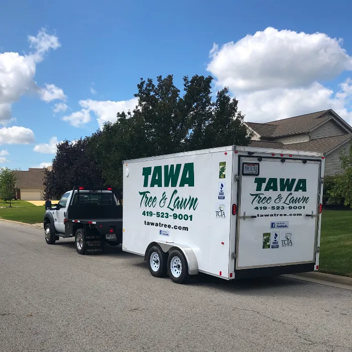 Tawa Truck and Trailer